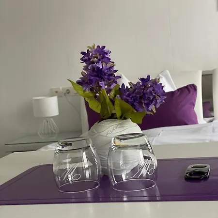 Schwanenburg Kleve (Dusseldorf)